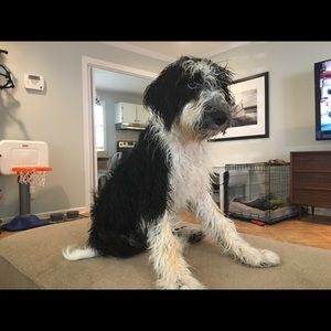 Meet your Posher, Jonathan